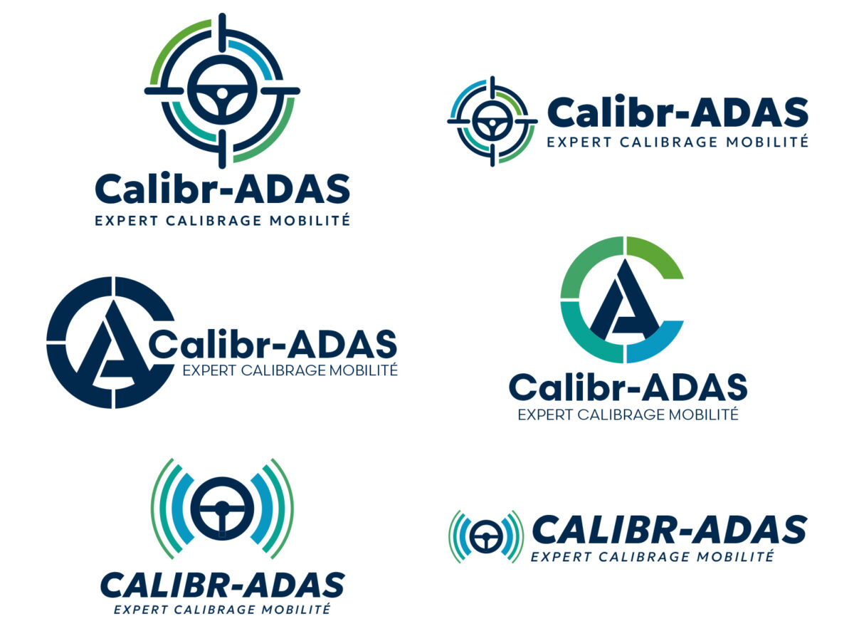 Propositions graphiques du logo, élaborées selon les directives du client